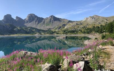 Appartement 2 Chambres Appartement 2 Chambres