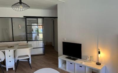 Appartement 1 Chambre