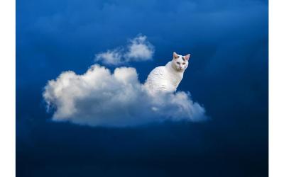 Maison de Vacances (5 Adultes)