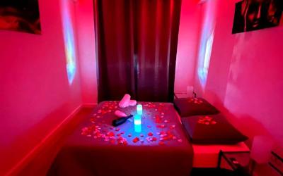 Appartement 1 Chambre avec Baignoire Spa