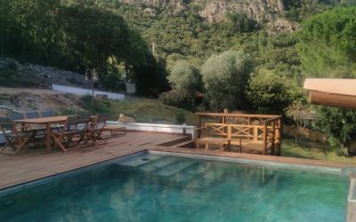 Appartement 1 Chambre