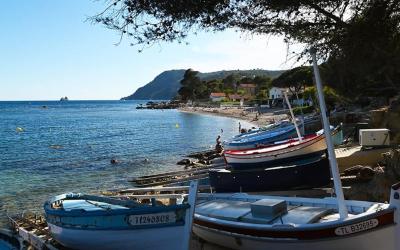 Appartement 1 Chambre Appartement 1 Chambre