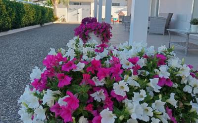 Camera Matrimoniale con Bagno Privato