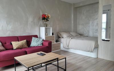 Appartement 1 Chambre