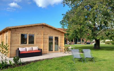 Appartement 1 Chambre