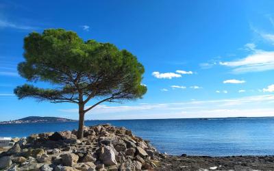 Appartement 3u00a0Chambres