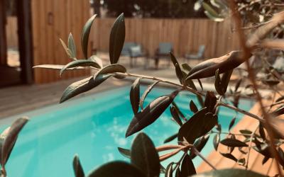 Villa avec Piscine Privu00e9e Villa avec Piscine Privu00e9e