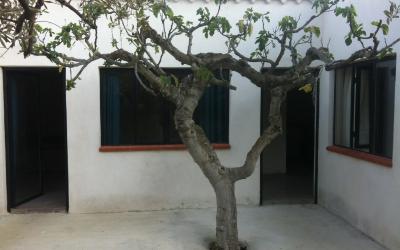 Chambre Lit Queen-Size - Vue sur Jardin