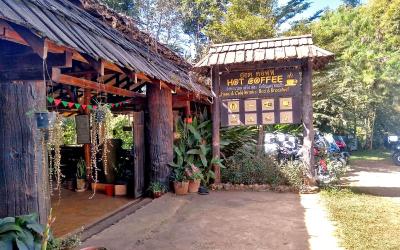 Hot Coffee Guest House and Resort