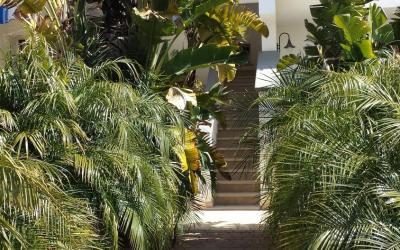 Appartamento con 1 Camera da Letto