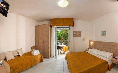 Camera Tripla Standard