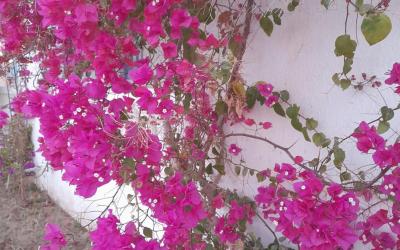 Residence Nour douz