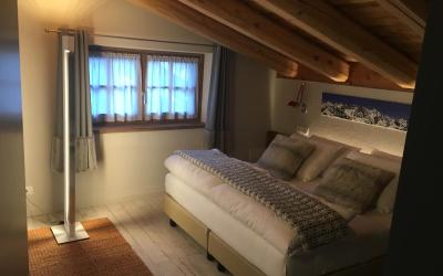 Camera Superior Matrimoniale/Doppia con Letti Singoli con Balcone