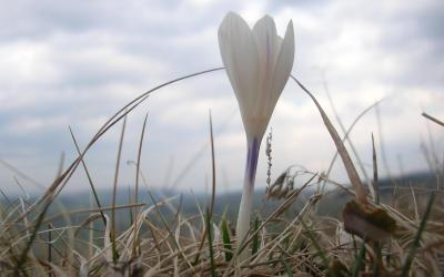 Chambre Double Chambre Double