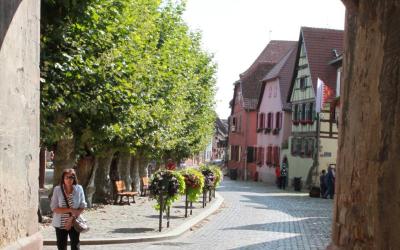 Appartement 1 Chambre