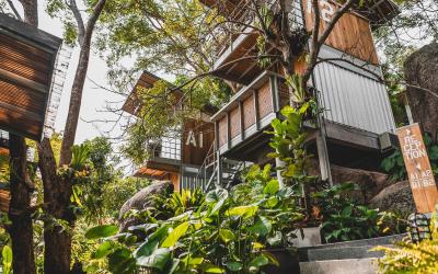 Shiva Lodge
