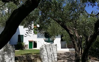 Appartamento Monolocale