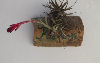 Camera Matrimoniale con Terrazza