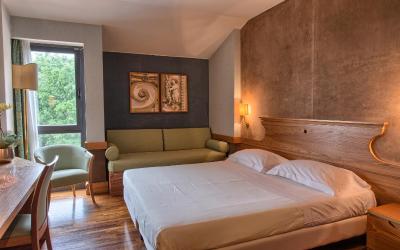 Camera Superior Matrimoniale/Doppia con Letti Singoli 