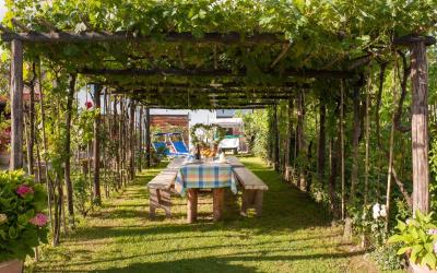 Appartamento con 1 Camera da Letto e Vista Giardino 