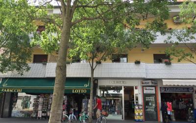 Appartamento con 1 Camera da Letto