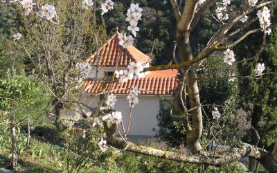 Suite (2 Adultes + 2 Enfants)