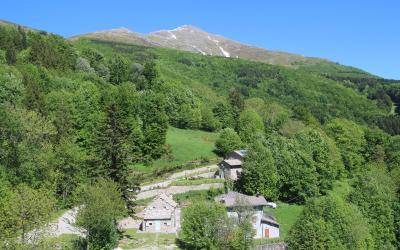 Appartamento (4 Adulti) - su 2 Livelli 