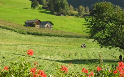 Appartamento con Balcone