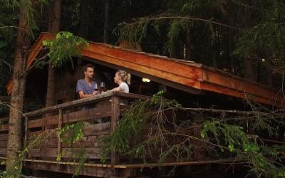 Cabane dans les Arbres Mont-Blanc