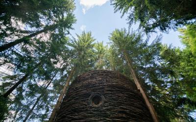Cabane dans les Arbres Nid