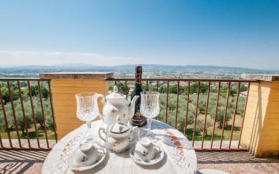 Camera Quadrupla Standard 