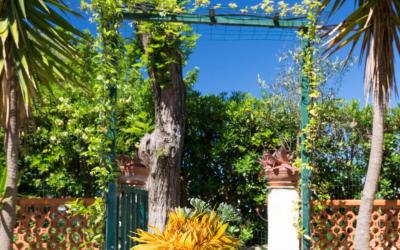 Studio avec Vue sur Jardin
