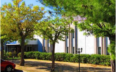 Chambre Triple avec 1 Lit Double et 1 Lit Simple
