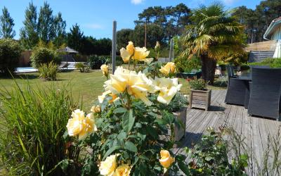 Appartement 2 Chambres