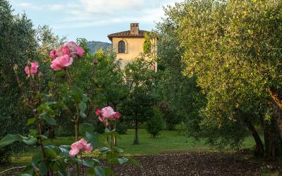 Junior Suite con Vista Giardino