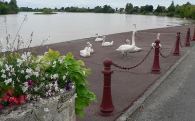 Maison de Vacances 2