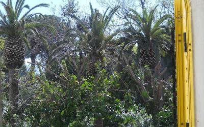 Piccola Camera Matrimoniale/Doppia con Letti Singoli