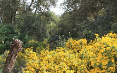 Maison 2u00a0Chambres