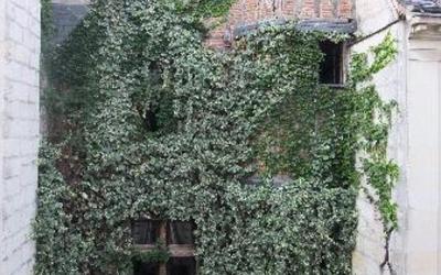 Chambre Lits Jumeaux Chambre Lits Jumeaux