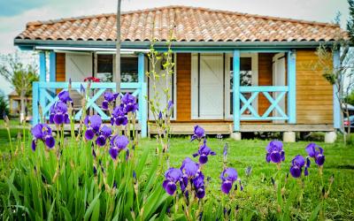 Chalet (6 Personnes) Chalet (6 Personnes)