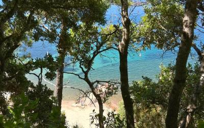 Appartement - Vue sur Mer Appartement - Vue sur Mer