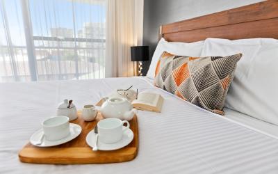 Deluxe One-Bedroom Apartment