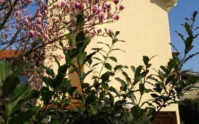 Maison 3u00a0Chambres