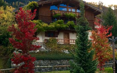 Appartement - Rez-de-Chaussu00e9e