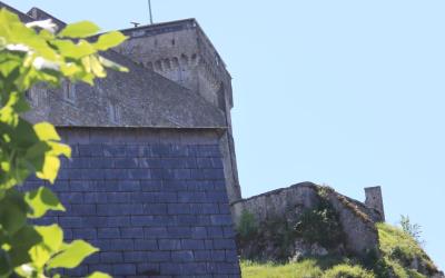 Chambre Double ou Lits Jumeaux