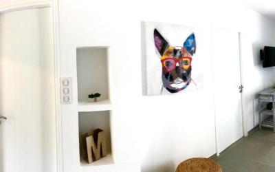 Appartement 1 Chambre