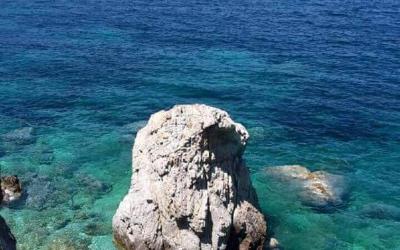 Appartamento Monolocale