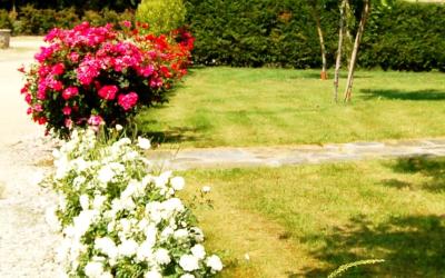 Appartamento con 1 Camera da Letto (2 Adulti) 