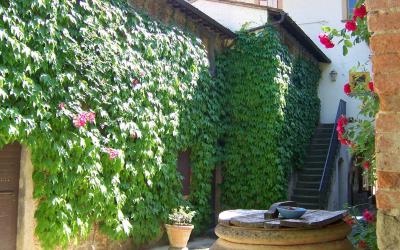 Appartamento Budget con 1 Camera da Letto