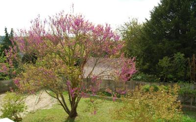 Appartement - Vue sur Jardin Appartement - Vue sur Jardin